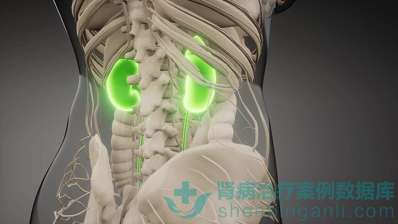 患了狼疮肾病很恐慌？山东青岛静康医院治疗得当可转阴！